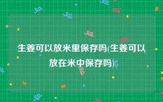 生姜可以放米里保存吗(生姜可以放在米中保存吗)