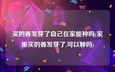 买的姜发芽了自己在家能种吗(家里买的姜发芽了,可以种吗)