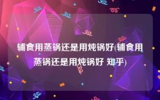 辅食用蒸锅还是用炖锅好(辅食用蒸锅还是用炖锅好 知乎)