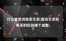 什么是普洱熟茶生茶(普洱生茶和熟茶的区别哪个减肥)