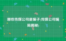 哪些传媒公司是骗子(传媒公司骗局揭秘)