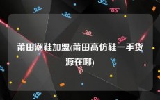 莆田潮鞋加盟(莆田高仿鞋一手货源在哪)