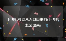 下飞机可以从入口出来吗(下飞机怎么出来)