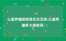 公暹罗猫做绝育后会怎样(公暹罗猫多大做绝育)
