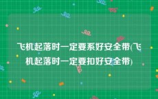 飞机起落时一定要系好安全带(飞机起落时一定要扣好安全带)