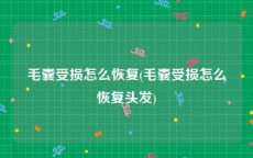 毛囊受损怎么恢复(毛囊受损怎么恢复头发)