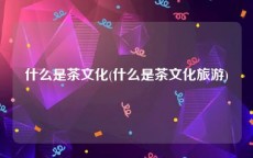 什么是茶文化(什么是茶文化旅游)
