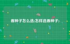 姜种子怎么选(怎样选姜种子)