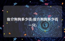 俊介狗狗多少钱(俊介狗狗多少钱一只)