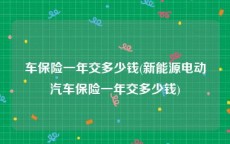 车保险一年交多少钱(新能源电动汽车保险一年交多少钱)