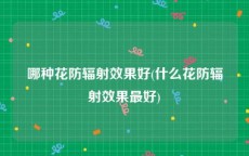 哪种花防辐射效果好(什么花防辐射效果最好)