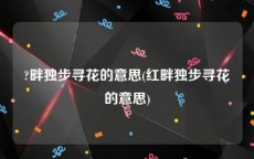 ?畔独步寻花的意思(红畔独步寻花的意思)