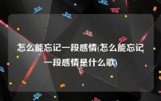 怎么能忘记一段感情(怎么能忘记一段感情是什么歌)