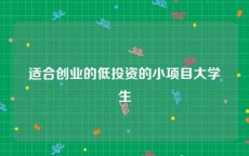 适合创业的低投资的小项目大学生
