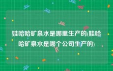 娃哈哈矿泉水是哪里生产的(娃哈哈矿泉水是哪个公司生产的)