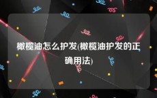 橄榄油怎么护发(橄榄油护发的正确用法)