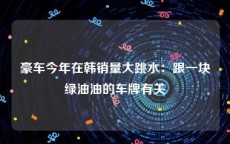 豪车今年在韩销量大跳水：跟一块绿油油的车牌有关