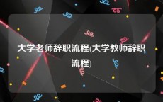 大学老师辞职流程(大学教师辞职流程)
