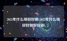 2022年什么项目好做(2022年什么项目好做好投资)