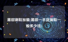 莆田潮鞋加盟(莆田一手货源鞋一般多少钱)