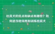 杜宾犬的优点和缺点有哪些？如何适当地饲养和训练杜宾犬