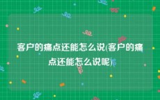 客户的痛点还能怎么说(客户的痛点还能怎么说呢)