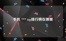 手机 *** top排行榜在哪里