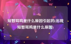 短暂耳鸣是什么原因引起的(出现短暂耳鸣是什么原因)