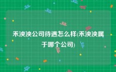 禾泱泱公司待遇怎么样(禾泱泱属于哪个公司)