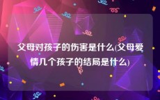 父母对孩子的伤害是什么(父母爱情几个孩子的结局是什么)