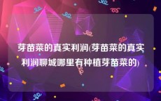 芽苗菜的真实利润(芽苗菜的真实利润聊城哪里有种植芽苗菜的)