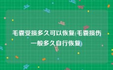毛囊受损多久可以恢复(毛囊损伤一般多久自行恢复)
