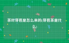 茶叶芽苞是怎么来的(芽苞茶是什么)