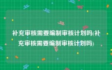 补充审核需要编制审核计划吗(补充审核需要编制审核计划吗)