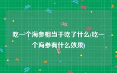吃一个海参相当于吃了什么(吃一个海参有什么效果)