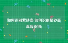 如何识别紫砂壶(如何识别紫砂壶真假鉴别)