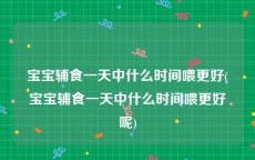 宝宝辅食一天中什么时间喂更好(宝宝辅食一天中什么时间喂更好呢)