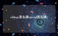 cabbage怎么读(special怎么读)