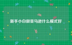 新手小白做亚马逊什么模式好