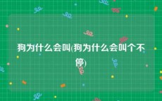 狗为什么会叫(狗为什么会叫个不停)