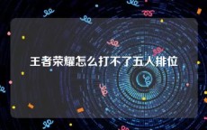 王者荣耀怎么打不了五人排位
