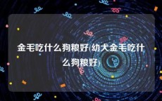 金毛吃什么狗粮好(幼犬金毛吃什么狗粮好)
