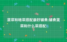 菠菜和啥菜搭配最好辅食(辅食菠菜和什么菜搭配)