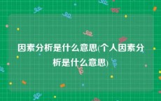 因素分析是什么意思(个人因素分析是什么意思)