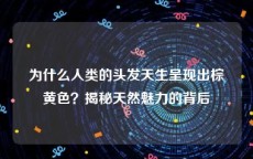 为什么人类的头发天生呈现出棕黄色？揭秘天然魅力的背后