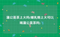 蒲公英茶上火吗(哺乳期上火可以喝蒲公英茶吗)