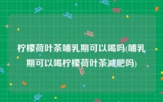 柠檬荷叶茶哺乳期可以喝吗(哺乳期可以喝柠檬荷叶茶减肥吗)
