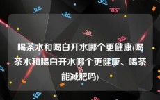 喝茶水和喝白开水哪个更健康(喝茶水和喝白开水哪个更健康、喝茶能减肥吗)