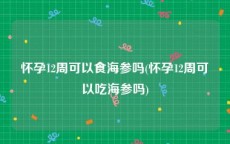 怀孕12周可以食海参吗(怀孕12周可以吃海参吗)
