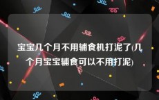宝宝几个月不用辅食机打泥了(几个月宝宝辅食可以不用打泥)